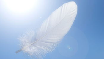 空に浮かぶ白い羽